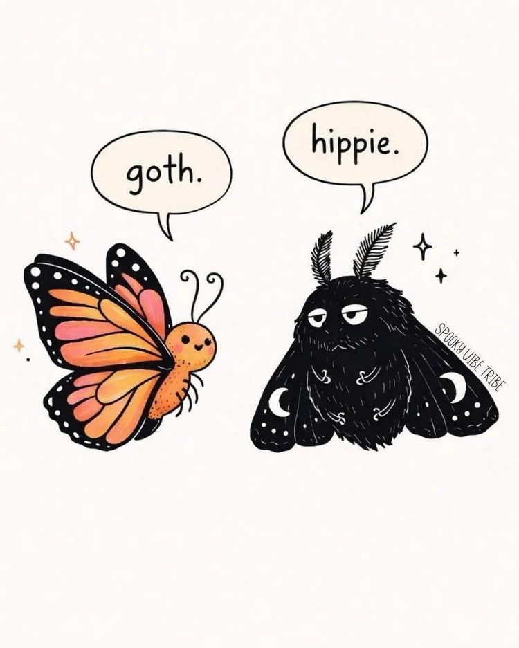 Find more fun and cute memes on my profile